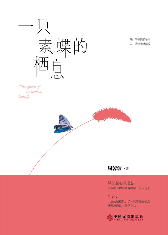 一只素蝶的棲息,法學碩士出書表達青春