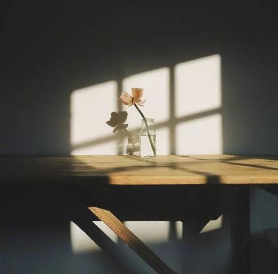 一本“疼”的書《唯愿所有的疼，都能開出一朵花》出版