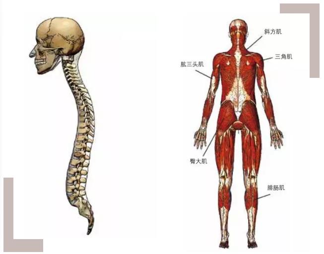 中國中醫師自費出書